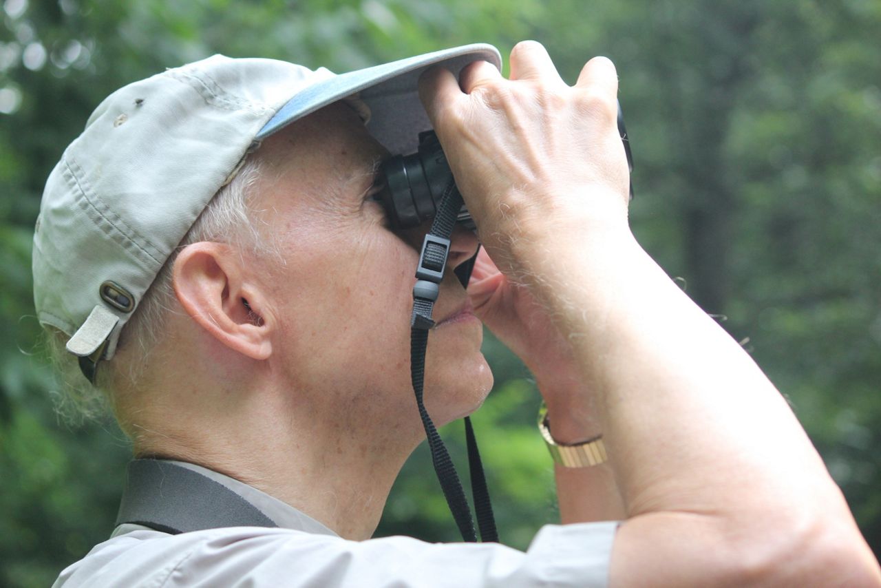 why-bird-watchers-flock-to-central-park